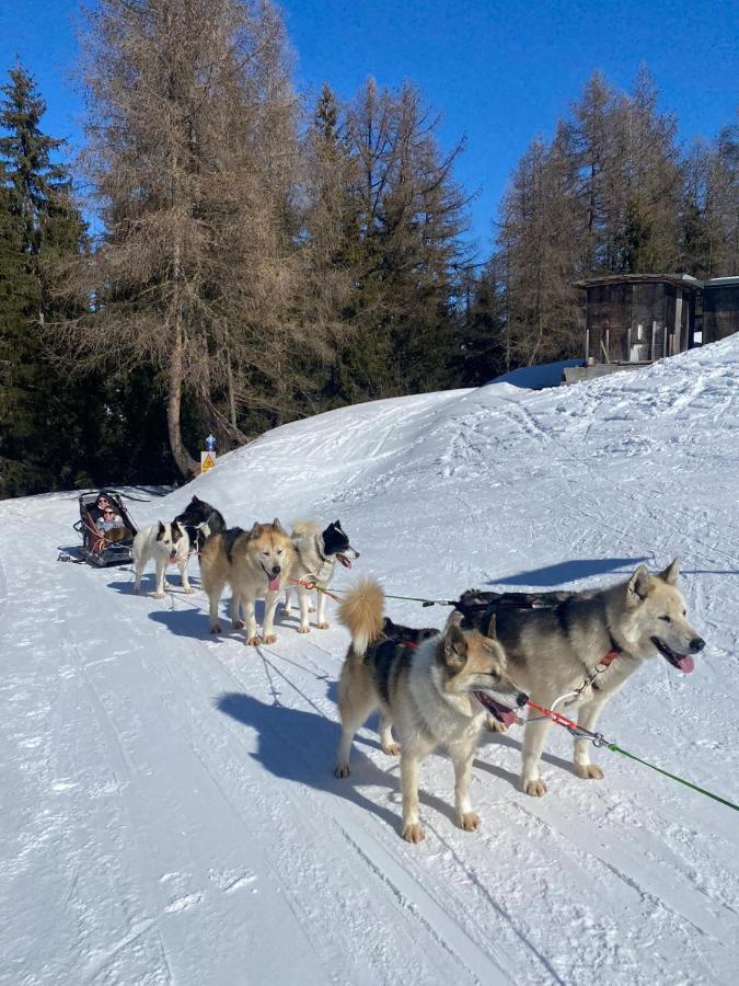 Plagne Bellecote - 5 Pers - Vue Pistes - Acces Piscine Chauffee Apartman La Plagne Kültér fotó